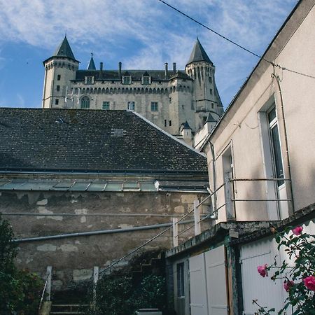 T2 Bedinsaumur Loire Chateau Tout Confort Exterior photo